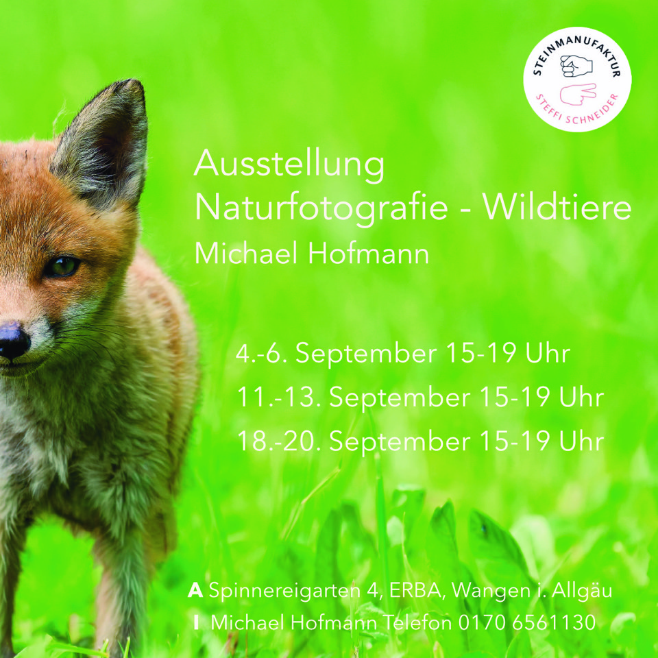 KOMPASS (Foto: © Michael Hofmann)