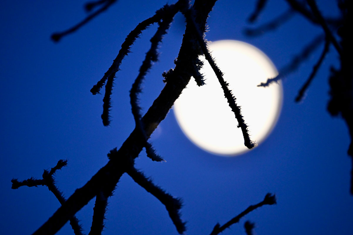 KOMPASS (Foto: © Michael Hofmann)