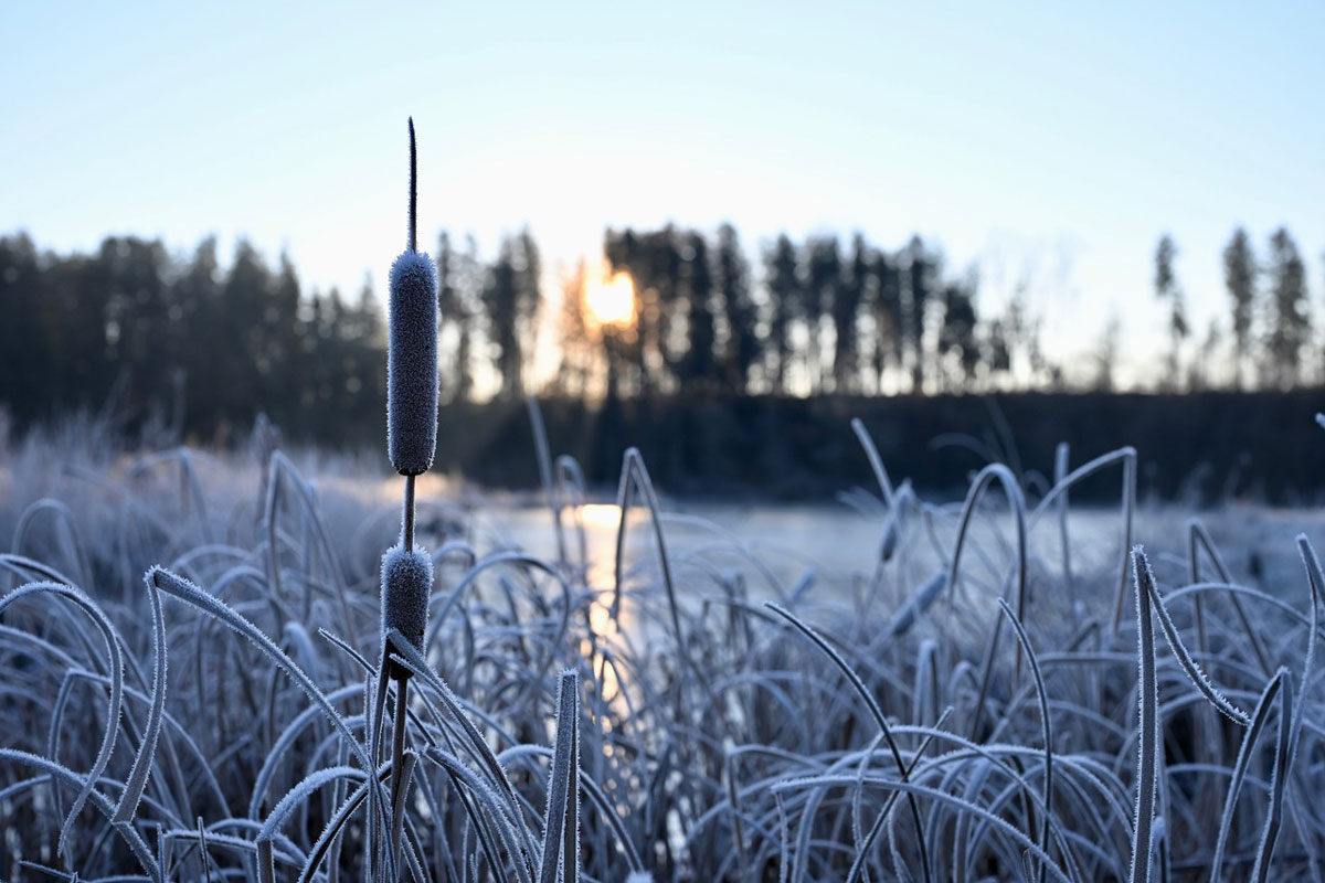 KOMPASS (Foto: © Michael Hofmann)